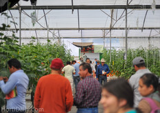 De Ruiter Demo House.