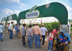 Seminis high tunnel crops.