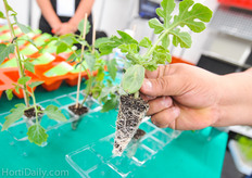 Propagation trays by RC Tools.