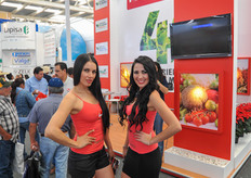 Hostesses of Univex.