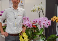 Marco Knijnenburg with Anthura's Phalaenopsis varieties.