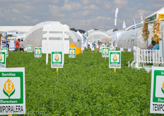 The seeds of Berentsen are showed at this demo field.