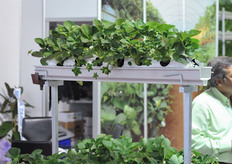 Inverted gutter system with closed canals at NC Tarim; the Turkish distributor of brands like Pelemix.