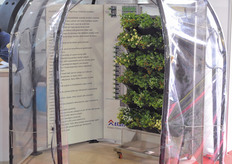 research greenhouse of Mucit,