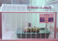 Mardenkro had a nice mini greenhouse to display the effect of their anti condens treatment.