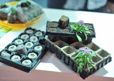 Also in Turkey, the Jiffy 7 propgation block and Jiffy Preforma plugs are very popular.