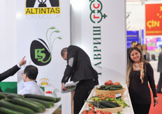 Also Russian breeder Gavrish Seed was exhibiting at Growtech.