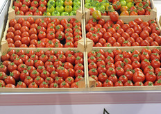 Very uniform quality of Asgen seeds.