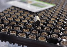 Uniform propagation plugs by Green Products.