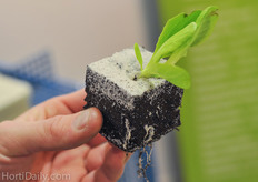 Demtec propagation cube.