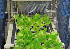 Pot maker and seeding line from Demtec.