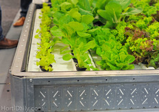 The new floaters from Viscon.