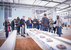 A special gutter system to optimzie in-house propagation of vegetable was presented. In this order many energy and space can be saved.