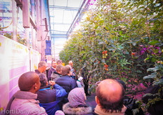 Busy in the Futagrow greenhouse; the large group was split into three.