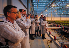 At Ter Laak Orchids we visited the Daylight Greenhouse.