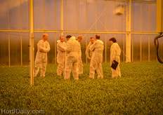Scientists who are researching and discussing the growth of the Lisianthus.