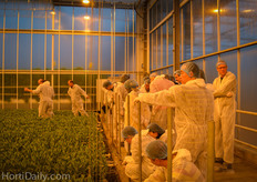 The group was fascinated by the eb and flow system on which the lisianthus are cultivated.