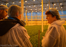 Ineke van Meggelen from GreenQ explaining the habits and features of Lisianthus and what to bear in mind when growing the crop soilless.