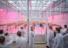 Strawberry LED trials at Wageningen UR.