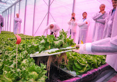 This greenhouse researched the possibilities to grow a high quality crop with smallest amounts of inputs in terms of investment and energy. It was the only plastic greenhouse that we visited during the tour, but still very high tech.