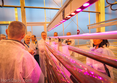 Algea might be the greenhouse crop of the future.