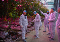 In this trial, the combination of LED top lighting and inter lighting aims art a production of 101 kilo per square meter.