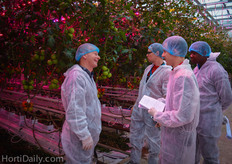 Much discussion was going on about the potential of LEDs in tomato crops.