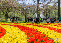 Get ready for many beautiful flower photos shot on a very sunny and busy day!