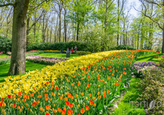 The park is open for 7 or 8 weeks per year.