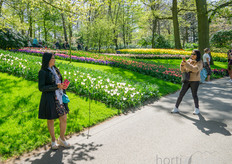 The flowers prove to be a great photo background!
