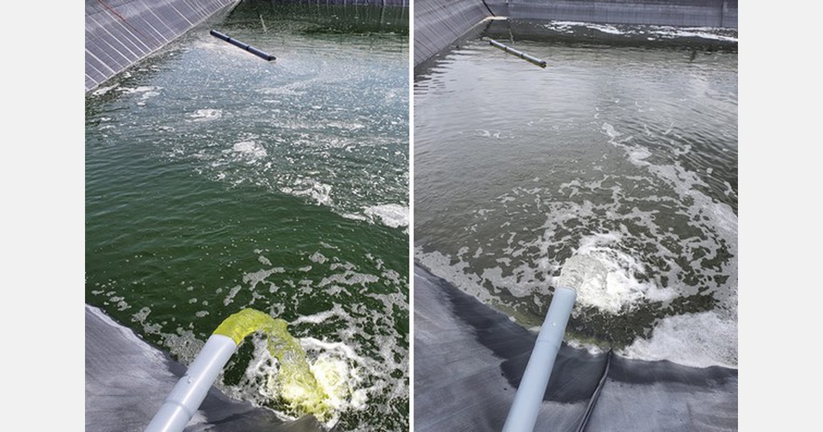 Oxygen helps get rid of algae