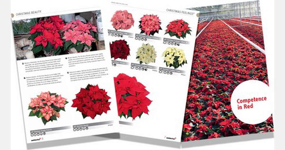 Selecta One presents Poinsettia catalogue 2019