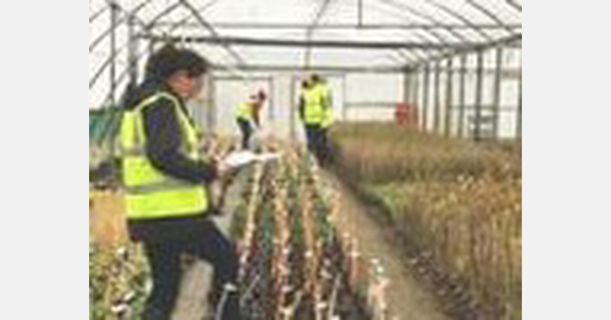 Scotland Hardy nursery stock research and development update