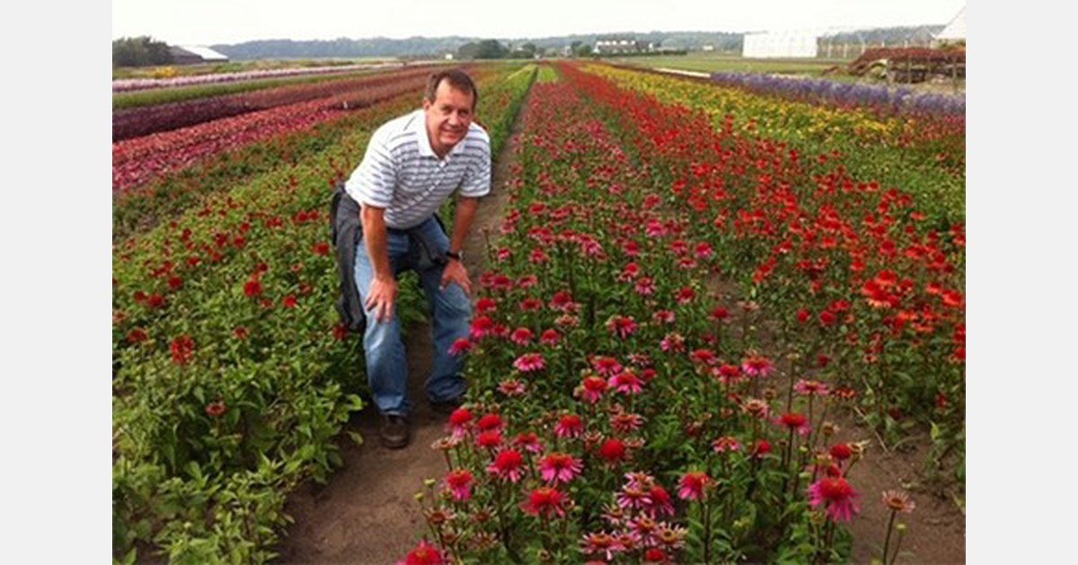 Darwin Perennials turns 10