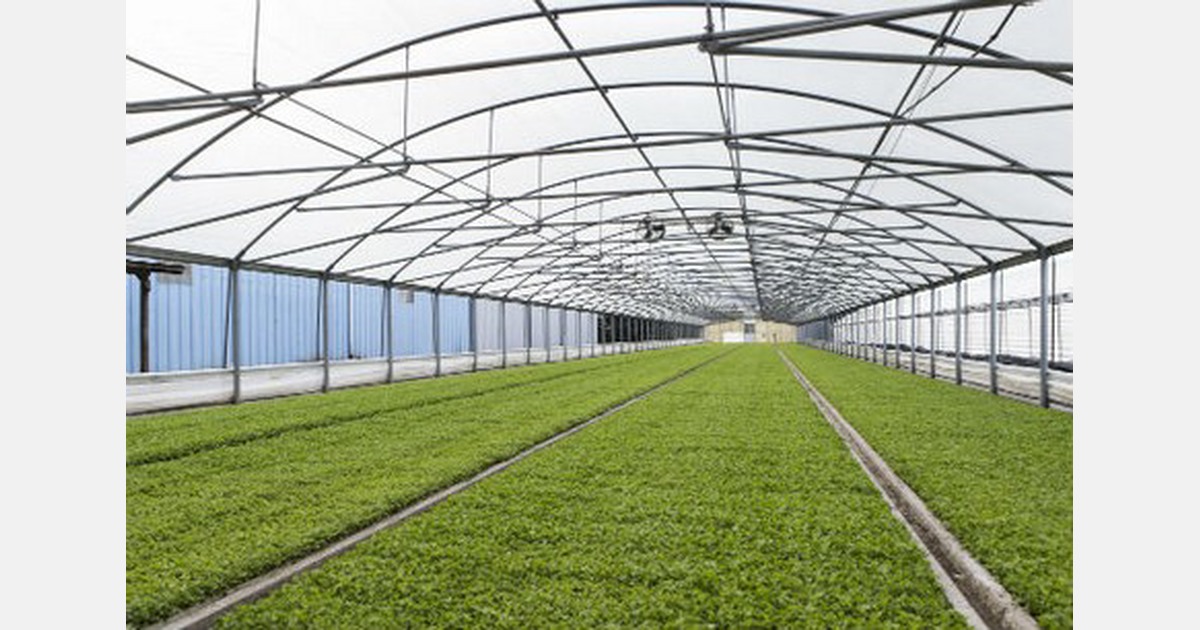 So you think you want to start a greenhouse business in Florida