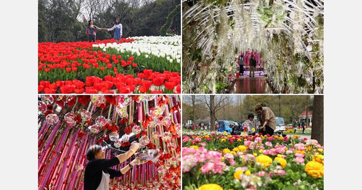 China International flower show blossoms in Shanghai