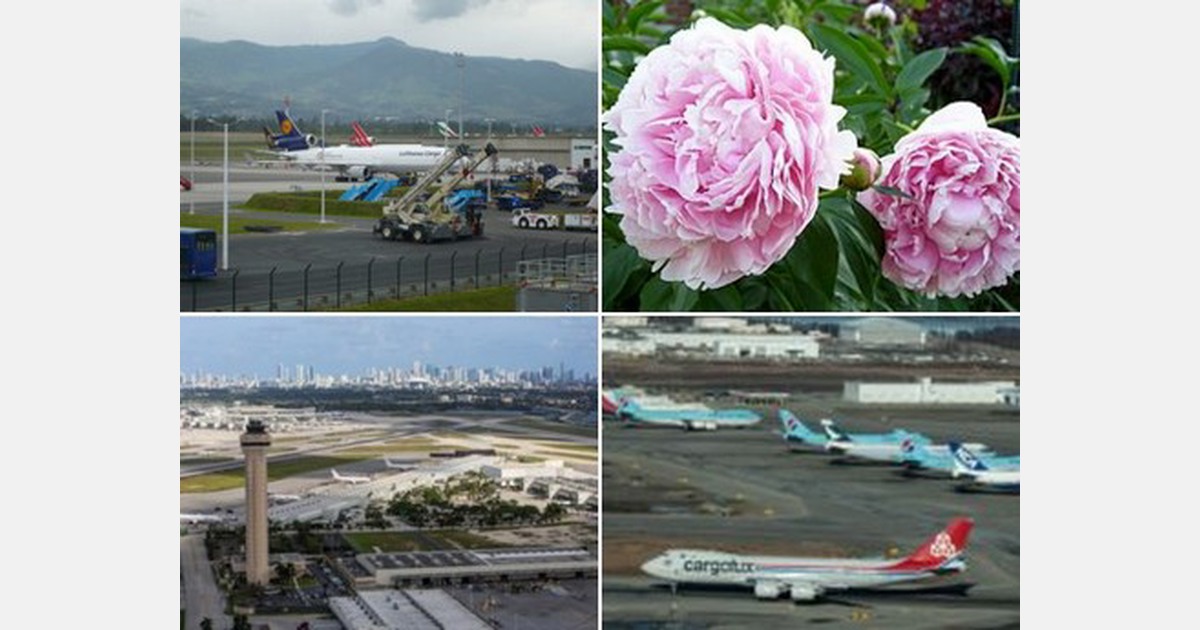 US Airports support peak flower season with special projects and