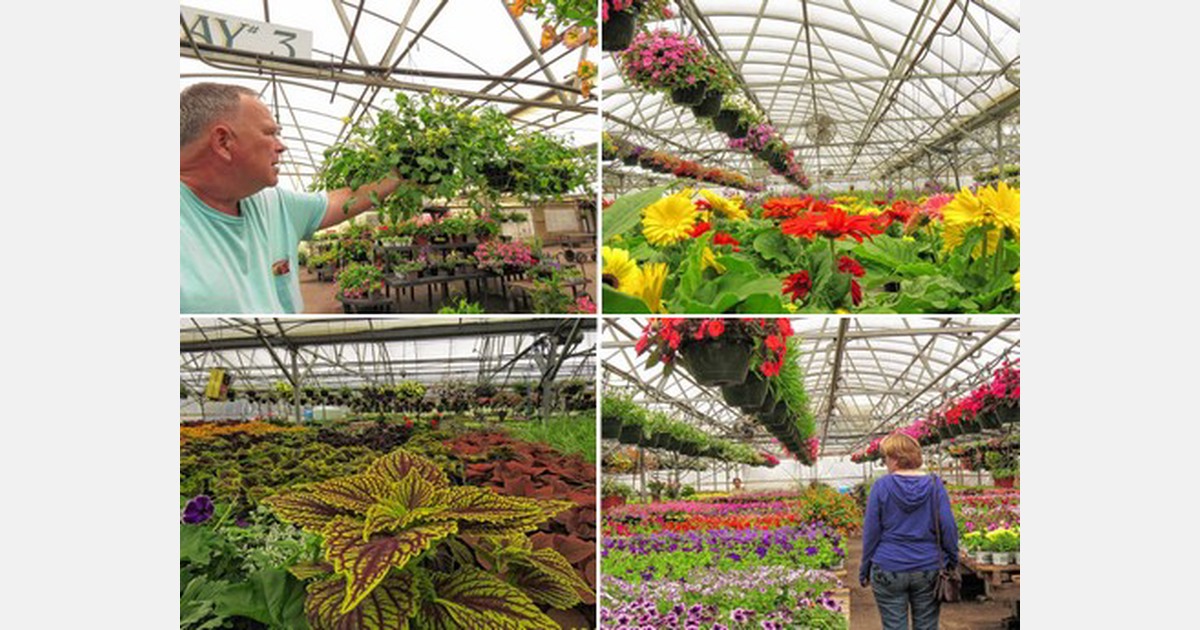 US (NH) April fires brings May buyers at Murray Farm Greenhouse
