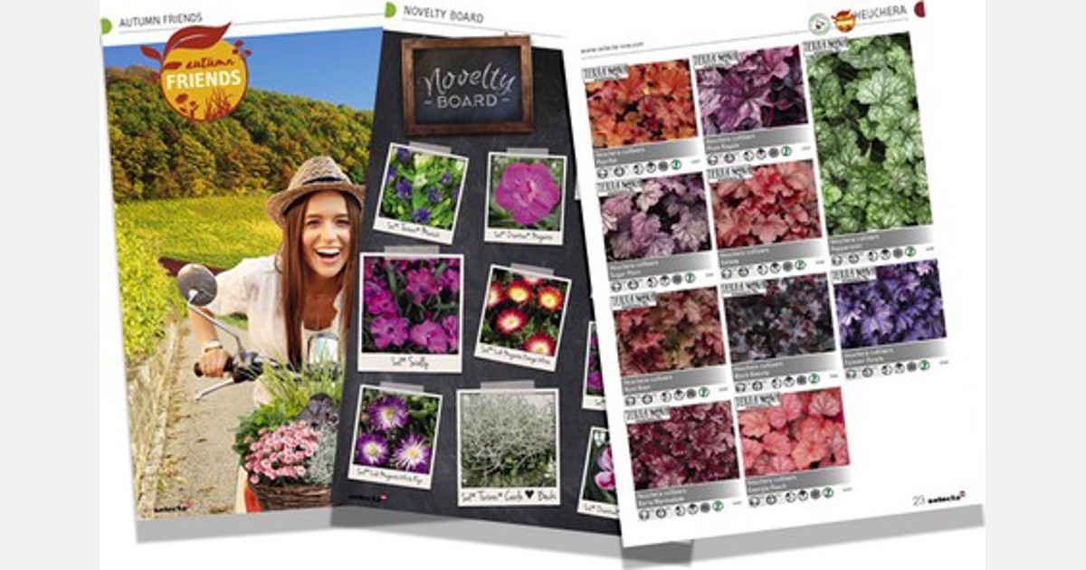 Selecta One releases Perennials catalogue 2020