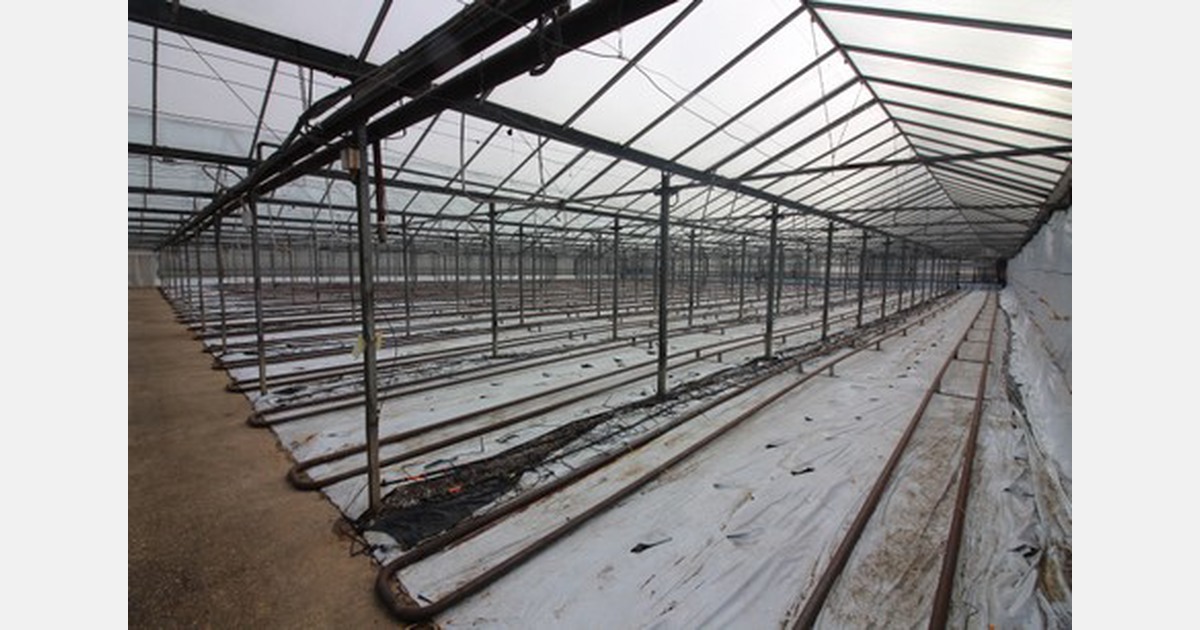 UK Glasshouse nursery for sale in Yorkshire