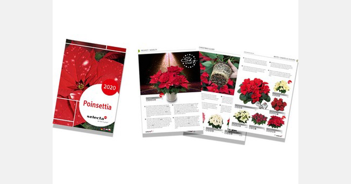 Poinsettia catalogue 2020 showcases Selecta One varieties