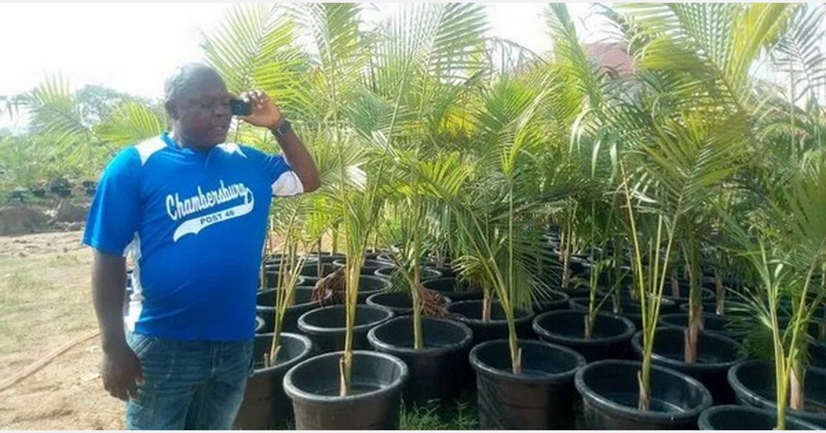 Nigeria After starting small, Abuja gardeners earn big selling flowers