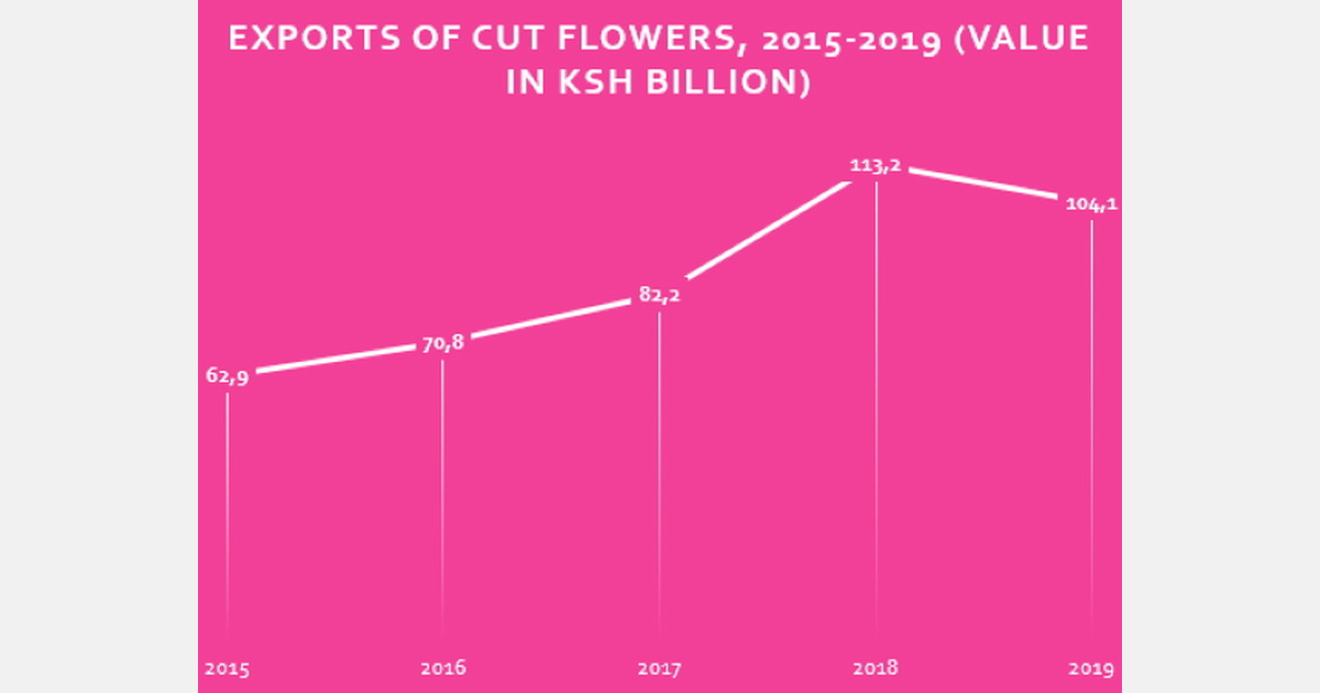 Kenyan cut flower exports Higher volumes, lower value