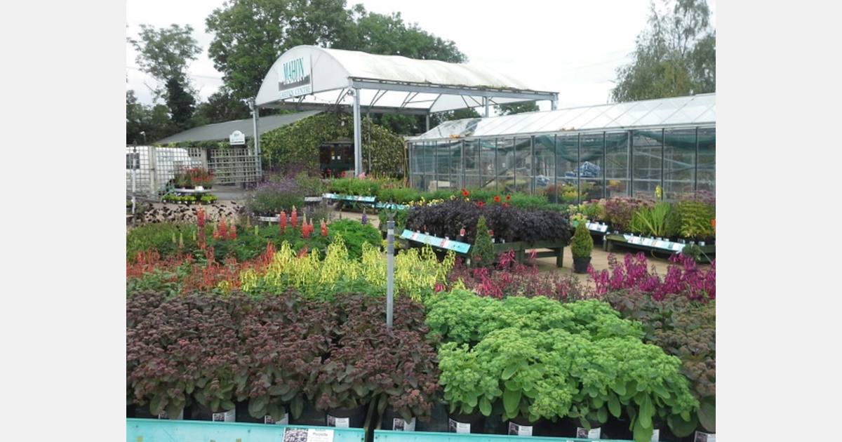 Garden centres in Northern Ireland to reopen