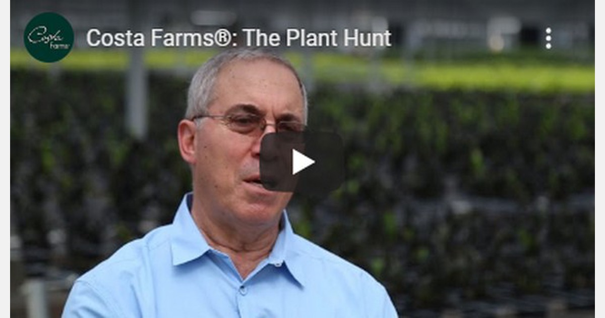 Behind the scenes with Costa Farms’ Plant Hunter Mike Rimland