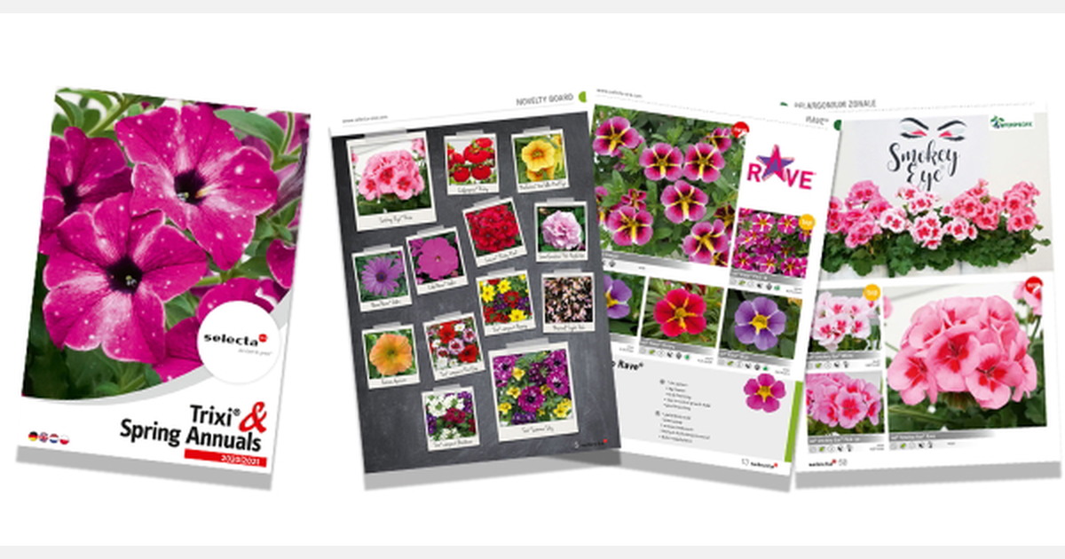 Selecta One presents new B&B + Trixi catalogue 2020/2021