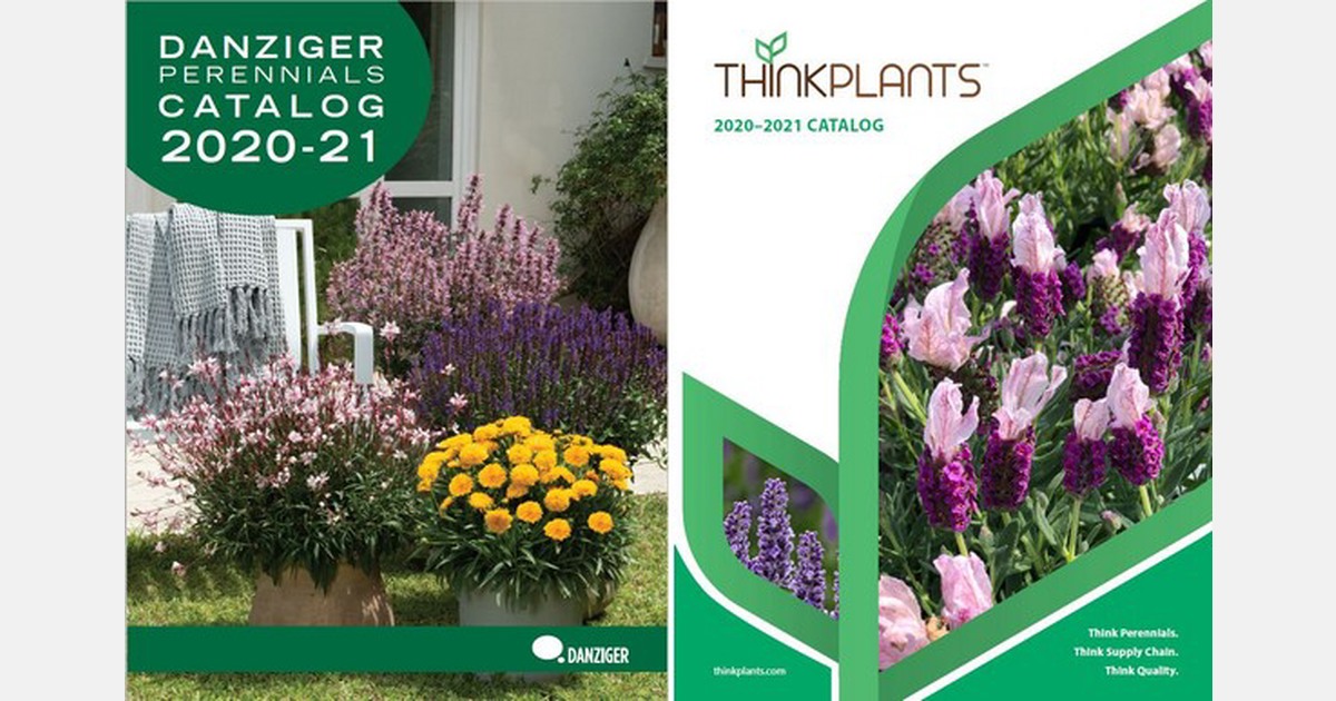 Danziger launches its new perennials catalog for the 2021 season
