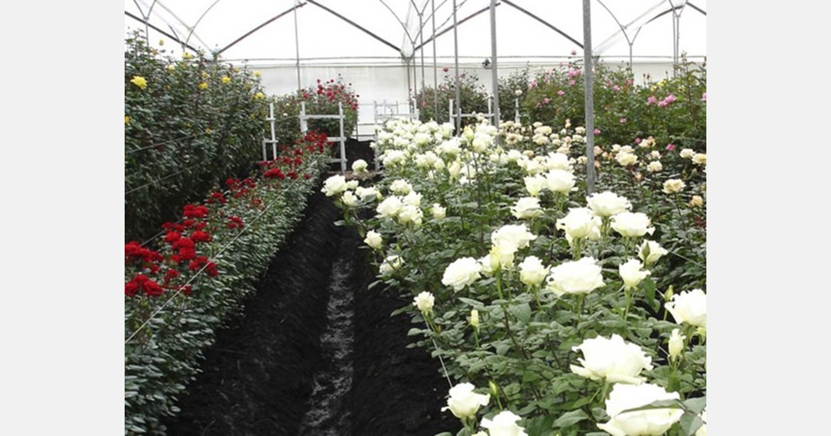 US (OH) Passion Growers to get new flower sortation center