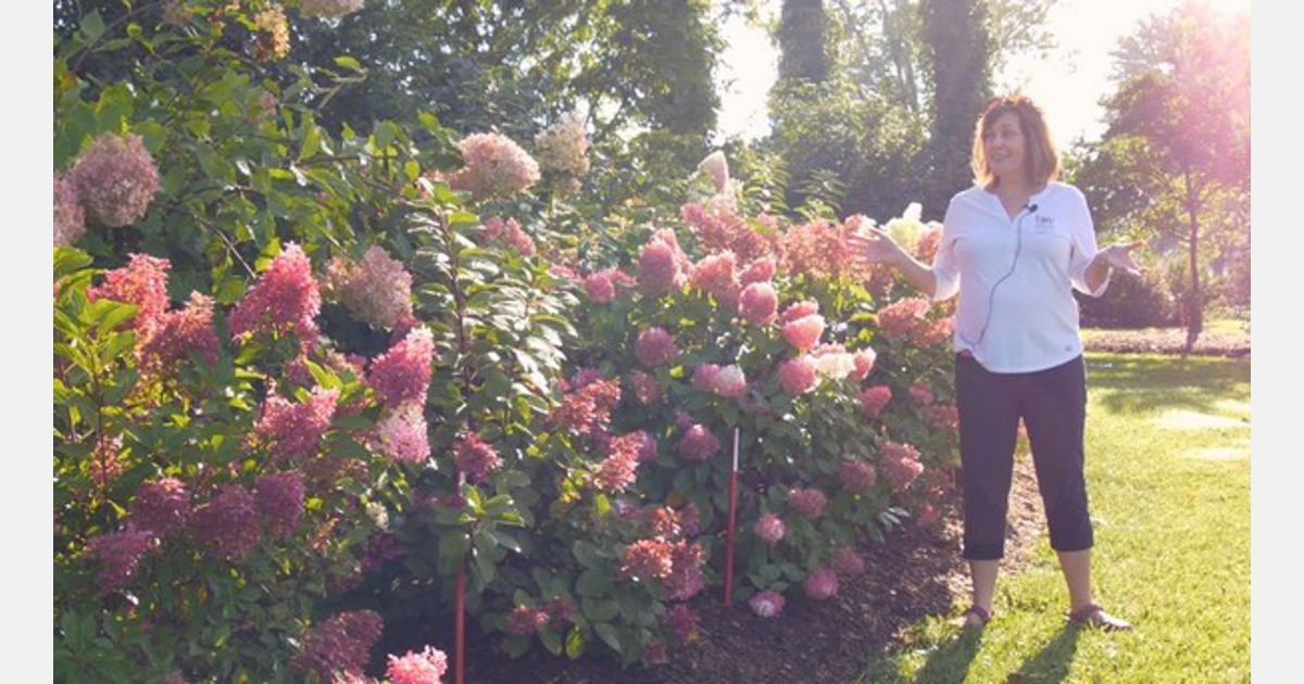 US Proven Winners to present a 3day virtual Landscape Roadshow series