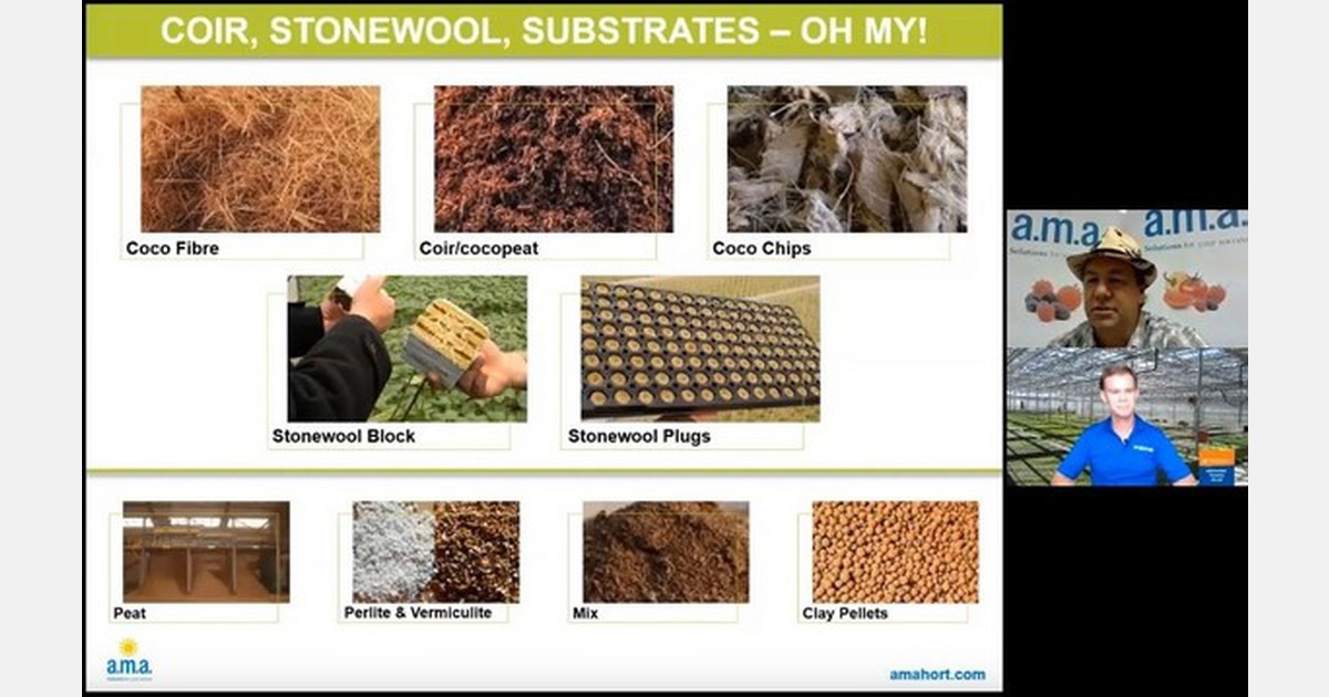 Video Five Tips On Hydroponic Substrates